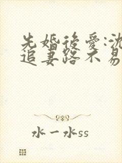 先婚后爱:沈少追妻路不易