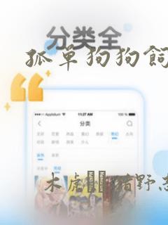 孤单狗狗饲育法：结局+番外