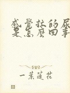 感觉拉的尿很烫是怎么回事