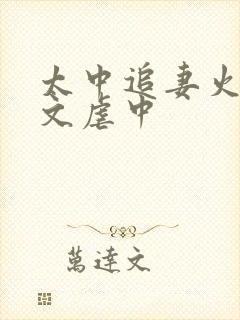 太中追妻火葬场文虐中