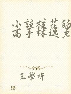 小说校花的贴身高手林逸免费阅读全文无窗口