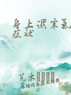 身上湿寒气重的症状