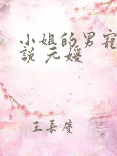 小姐的男宠 小说 元嫒