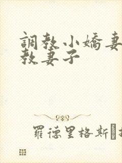 调教小娇妻/调教妻子