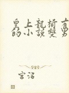 皇上龙椅有木棒的小说双男主小说