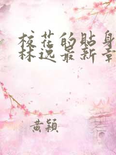 校花的贴身高手林逸最新章节