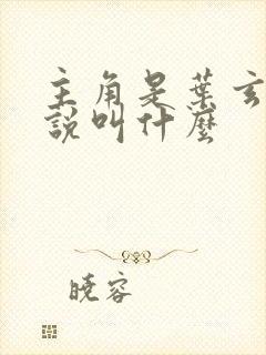 主角是叶玄的小说叫什么