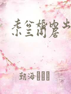 老公婚内出轨跟小三同居