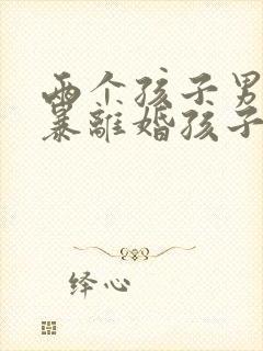 两个孩子男方家暴离婚孩子归谁