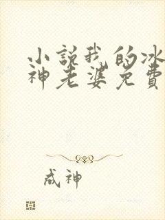 小说我的冰山女神老婆免费阅读