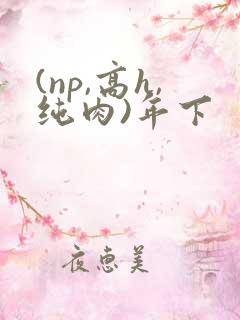 (np,高h,纯肉)年下