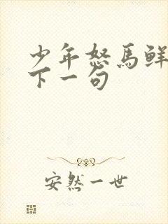 少年怒马鲜衣时下一句