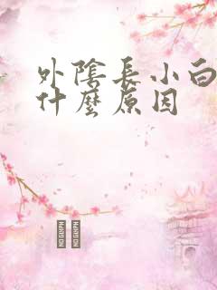 外阴长小白点是什么原因