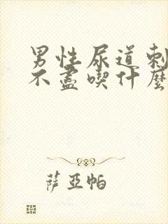 男性尿道刺痛尿不尽吃什么药