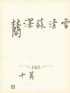 林泽苏清雪笔趣阁