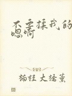 不要揉我的胸嗯嗯啊