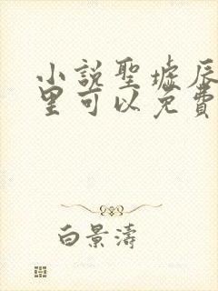 小说圣墟辰东哪里可以免费阅读