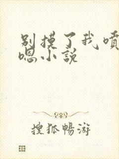 别摸了我喷了啊嗯小说