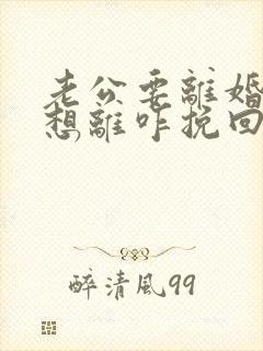 老公要离婚我不想离咋挽回