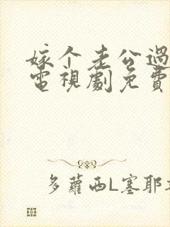 嫁个老公过日子电视剧免费