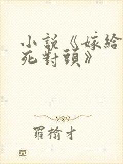 小说《嫁给亲爹死对头》