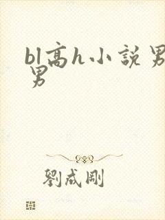 bl高h小说男男
