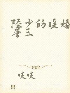 陆少的暖婚新妻唐玉