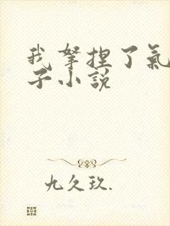 我拿捏了气运之子小说