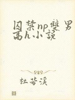 囚禁np双男主高h小说