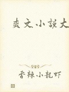 爽文小说大女主