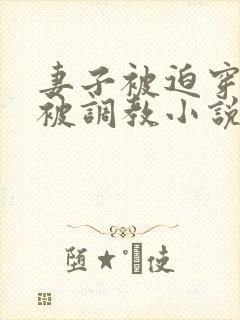 妻子被迫穿乳环被调教小说