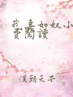 我妻如奴小雅免费阅读