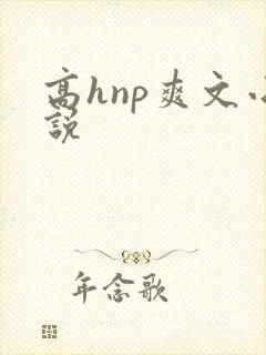 高hnp爽文小说