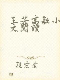 王芳高敏小说全文阅读