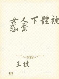 女人下体被舔的感觉