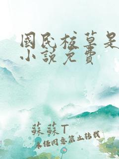 国民校草是女生小说免费