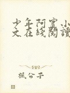 少年阿宾小说全文在线阅读