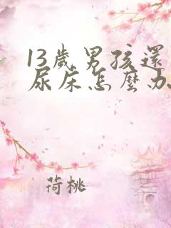 13岁男孩还会尿床怎么办