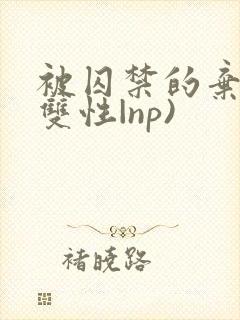 被囚禁的弃妃(双性|np)