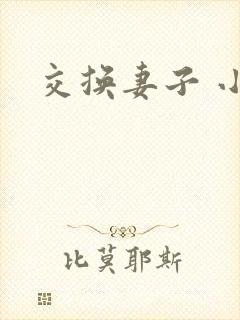 交换妻子 小说