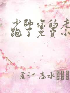 少帅你的老婆又跑了免费小说