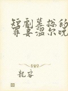 短剧慕总的隐婚罪妻温尔晚