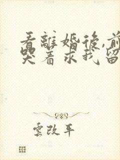 看离婚后,前夫哭着求我留下来