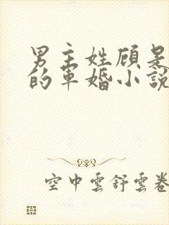 男主姓顾是首长的军婚小说