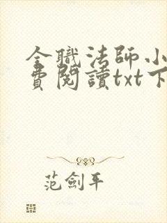 全职法师小说免费阅读txt下载