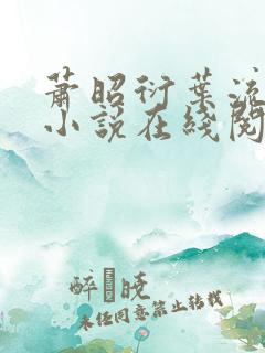 萧昭衍叶流锦的小说在线阅读