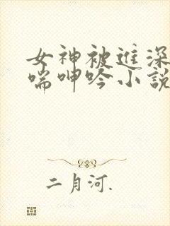 女神被进深处娇喘呻吟小说