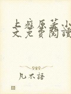 上瘾原著小说全文免费阅读