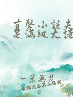 有声小说夫人她是满级大佬