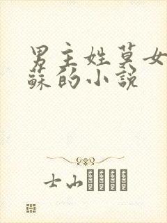 男主姓莫女主姓苏的小说